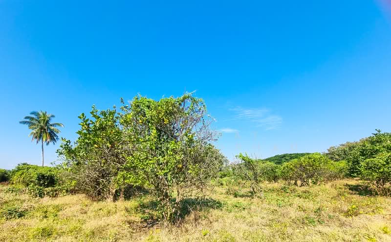 ที่ดิน, Lampang, Mae Pu, Mae Phrik, Lampang, , 8,960 sqm, Land For Sale, by Chayanat Wongphudphad, 500216607 - DDproperty.com