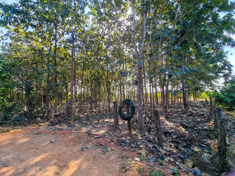 ที่ดิน, ลำปาง, แม่ปุ, แม่พริก, ลำปาง, 8,960 ตร.ม., ที่ดิน ขาย, โดย Chayanat Wongphudphad, 500216607 - DDproperty.com