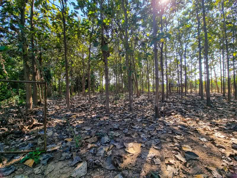 ที่ดิน, ลำปาง, แม่ปุ, แม่พริก, ลำปาง, 8,960 ตร.ม., ที่ดิน ขาย, โดย Chayanat Wongphudphad, 500216607 - DDproperty.com