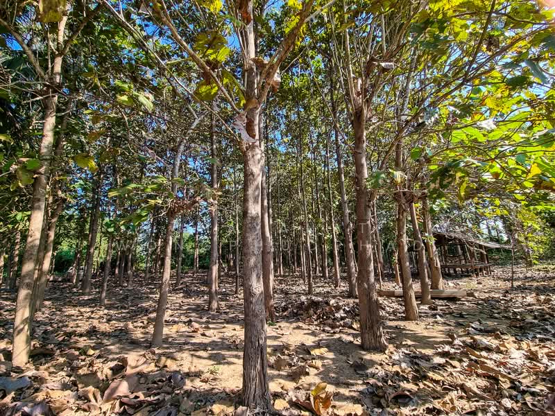 ที่ดิน, ลำปาง, แม่ปุ, แม่พริก, ลำปาง, 8,960 ตร.ม., ที่ดิน ขาย, โดย Chayanat Wongphudphad, 500216607 - DDproperty.com