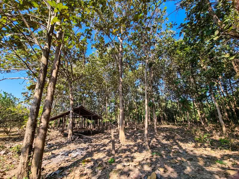 ที่ดิน, Lampang, Mae Pu, Mae Phrik, Lampang, , 8,960 sqm, Land For Sale, by Chayanat Wongphudphad, 500216607 - DDproperty.com