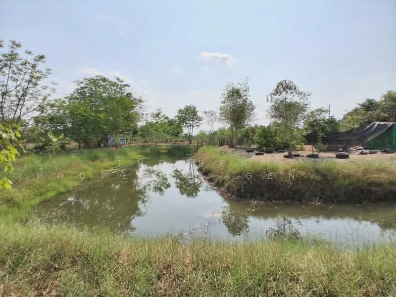 บ้านเดี่ยวพร้อมที่ดินองค์รักษ์ นครนายก, Nakhon Nayok, Bang Pla Kot, Ongkharak, Nakhon Nayok, 2 Bedrooms, 100 sqm, Single Detached House For Sale, by The Best Property Agent ไก่, 500216619 - DDproperty.com