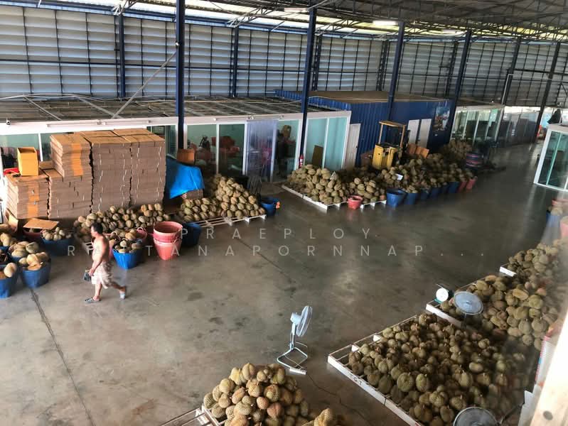 Factory for sale, Chanthaburi, Takat Ngao, Tha Mai, Chanthaburi, , 2,856 sqm, Land For Sale, by Praeploy Rattanapornnapapatch, 500216626 - DDproperty.com