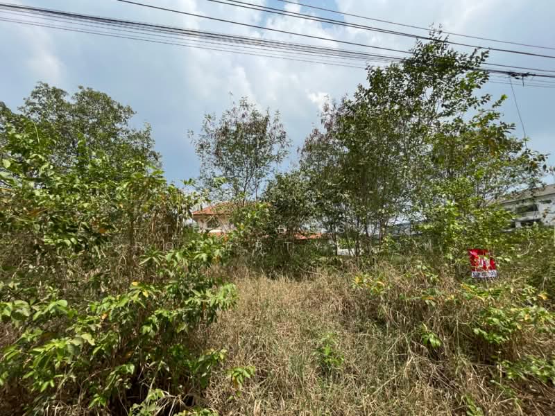 ขาย - ที่ดินตลิ่งชัน กรุงเทพมหานคร, กรุงเทพ