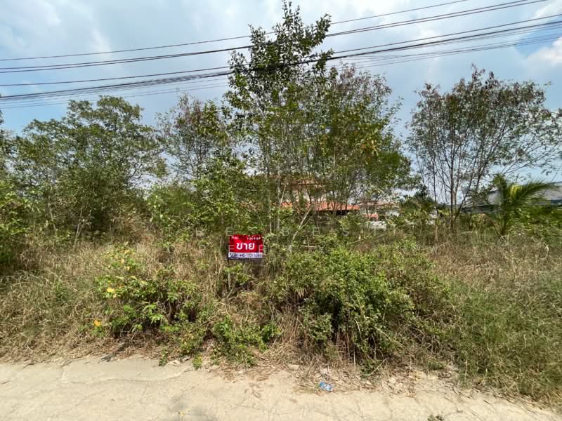 ขาย - ที่ดินตลิ่งชัน กรุงเทพมหานคร, กรุงเทพ