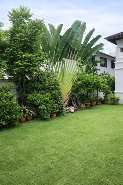 ไม่พบโครงการ, Bangkok, สุขุมวิท พระราม 4, Khong Tan, Khlong Toei, Bangkok, 4 Bedrooms, 360 sqm, Single Detached House For Rent, by ณัฐพงศ์ สุนทรอรุณ, 500216645 - DDproperty.com