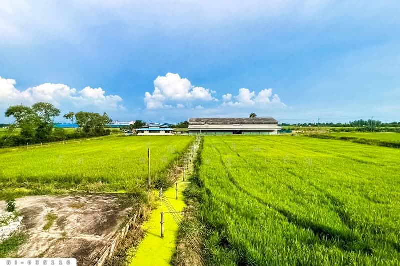 Land for rent in Bang Nam Priao, Chachoengsao, near Sittisunthorn Uthit School. NI-035110, Chachoengsao, Phrong A-kat, Bang Nam Prieo, Chachoengsao, , 16,000 sqm, Land For Rent, by Benchawarin Pakkawetppisit, 500216655 - DDproperty.com