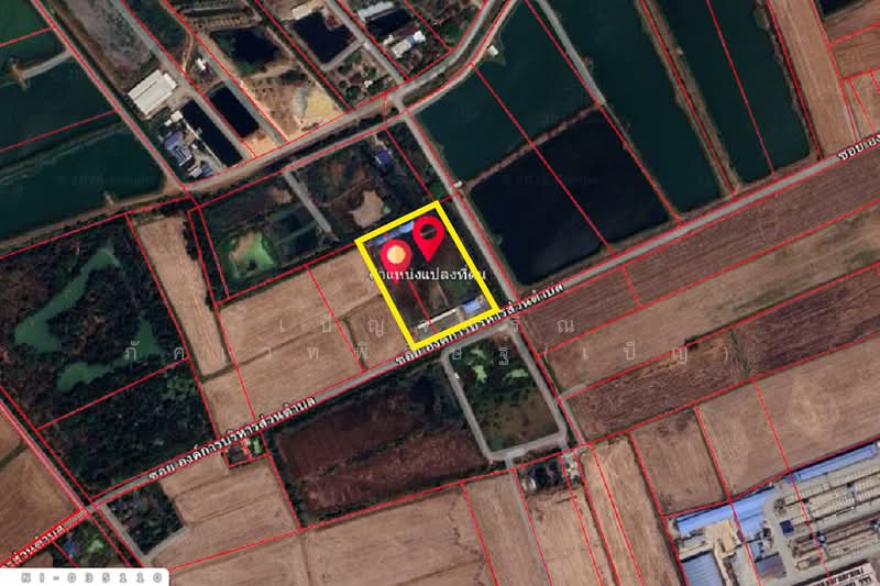 ที่ดินบางน้ำเปรี้ยว 10 ไร่ ฉะเชิงเทรา ใกล้โรงเรียนสิทธิสุนทรอุทิศ (เช่า) NI-035110, ฉะเชิงเทรา, โพรงอากาศ, บางน้ำเปรี้ยว, ฉะเชิงเทรา, 16,000 ตร.ม., ที่ดิน ให้เช่า, โดย เบ็ญจวริณ ภัคเวทพิสิษฐ์(เบ็ญ), 500216655 - DDproperty.com