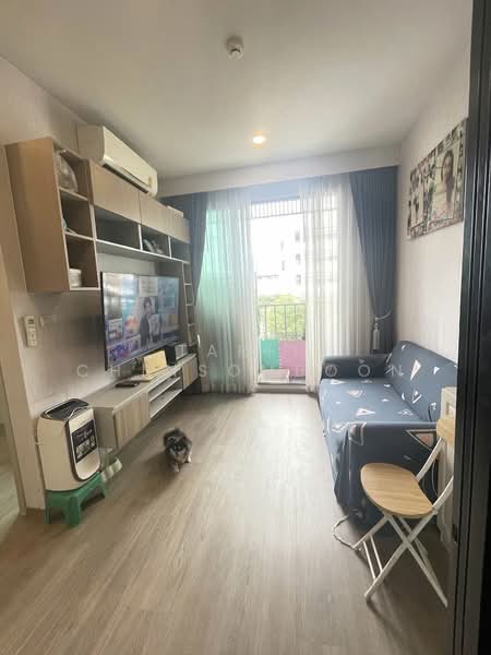 ขาย - Brixton Pet & Play Sukhumvit 107 : บริกซ์ตัน เพ็ทแอนด์เพลย์ สุขุมวิท 107, สมุทรปราการ