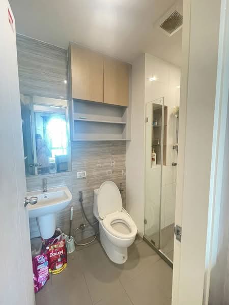 ขาย - Brixton Pet & Play Sukhumvit 107 : บริกซ์ตัน เพ็ทแอนด์เพลย์ สุขุมวิท 107, สมุทรปราการ