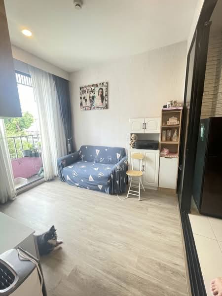 ขาย - Brixton Pet & Play Sukhumvit 107 : บริกซ์ตัน เพ็ทแอนด์เพลย์ สุขุมวิท 107, สมุทรปราการ