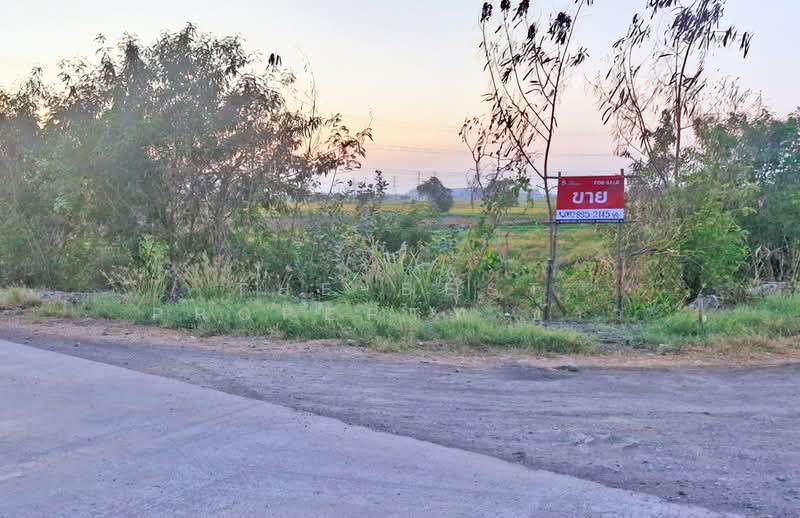 For Sale - ที่ดินท่าเรือ พระนครศรีอยุธยา, Phra Nakhon Si Ayutthaya