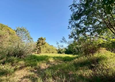 ขาย - ที่ดินปากช่อง นครราชสีมา, นครราชสีมา