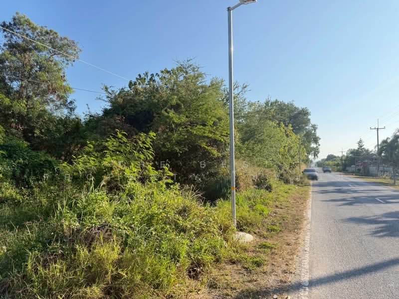 ที่ดินปากช่อง นครราชสีมา, Nakhon Ratchasima, Pak Chong, Pak Chong, Nakhon Ratchasima, , 3,200 sqm, Land For Sale, by The Best Property ใบหม่อน, 500216724 - DDproperty.com
