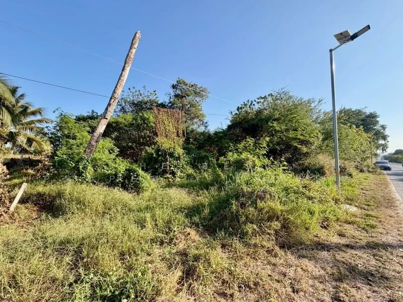 ที่ดินปากช่อง นครราชสีมา, Nakhon Ratchasima, Pak Chong, Pak Chong, Nakhon Ratchasima, , 3,200 sqm, Land For Sale, by The Best Property ใบหม่อน, 500216724 - DDproperty.com