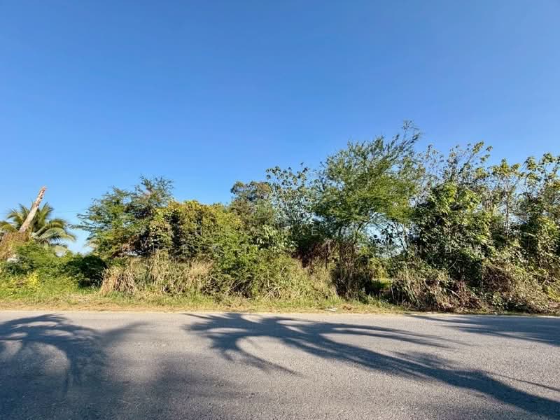 ที่ดินปากช่อง นครราชสีมา, Nakhon Ratchasima, Pak Chong, Pak Chong, Nakhon Ratchasima, , 3,200 sqm, Land For Sale, by The Best Property ใบหม่อน, 500216724 - DDproperty.com