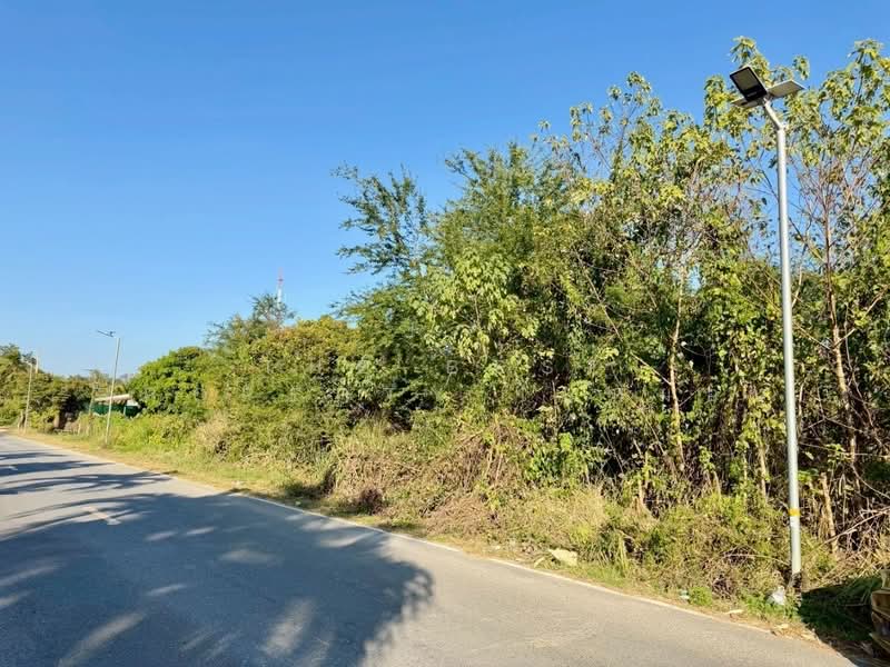 ที่ดินปากช่อง นครราชสีมา, Nakhon Ratchasima, Pak Chong, Pak Chong, Nakhon Ratchasima, , 3,200 sqm, Land For Sale, by The Best Property ใบหม่อน, 500216724 - DDproperty.com