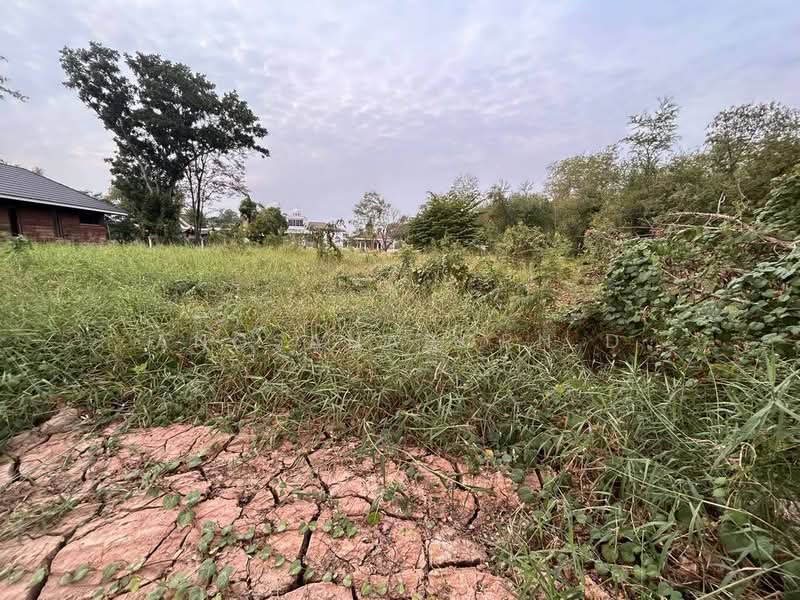 ที่ดินสวยมาก ริม แม่น้ำเจ้าพระยา 1-3-36 ไร่ สามโคก ปทุมธานี, Pathum Thani, Khlong Khwai, Sam Khok, Pathum Thani, , 2,944 sqm, Land For Sale, by Angsanaporn D, 500216800 - DDproperty.com