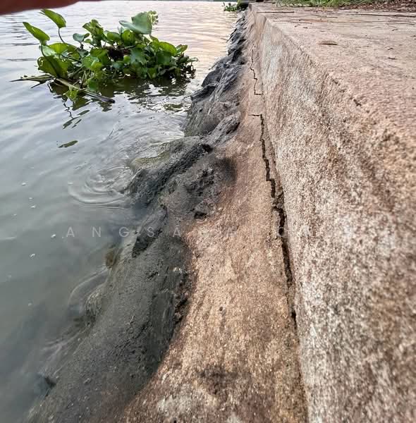 ที่ดินสวยมาก ริม แม่น้ำเจ้าพระยา 1-3-36 ไร่ สามโคก ปทุมธานี, ปทุมธานี, คลองควาย, สามโคก, ปทุมธานี, 2,944 ตร.ม., ที่ดิน ขาย, โดย Angsanaporn D, 500216800 - DDproperty.com