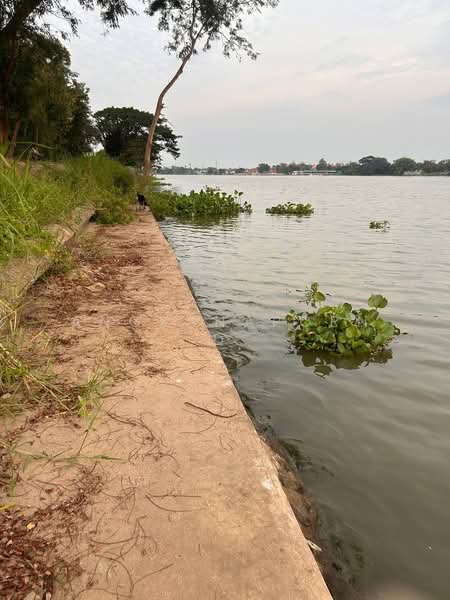 ที่ดินสวยมาก ริม แม่น้ำเจ้าพระยา 1-3-36 ไร่ สามโคก ปทุมธานี, Pathum Thani, Khlong Khwai, Sam Khok, Pathum Thani, , 2,944 sqm, Land For Sale, by Angsanaporn D, 500216800 - DDproperty.com