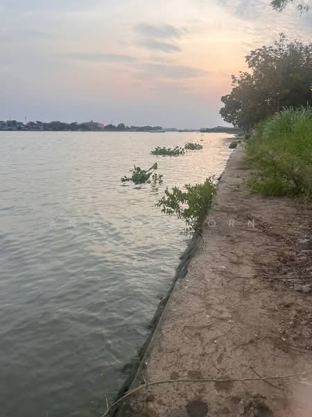 ที่ดินสวยมาก ริม แม่น้ำเจ้าพระยา 1-3-36 ไร่ สามโคก ปทุมธานี, Pathum Thani, Khlong Khwai, Sam Khok, Pathum Thani, , 2,944 sqm, Land For Sale, by Angsanaporn D, 500216800 - DDproperty.com