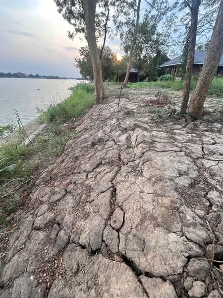ที่ดินสวยมาก ริม แม่น้ำเจ้าพระยา 1-3-36 ไร่ สามโคก ปทุมธานี, ปทุมธานี, คลองควาย, สามโคก, ปทุมธานี, 2,944 ตร.ม., ที่ดิน ขาย, โดย Angsanaporn D, 500216800 - DDproperty.com