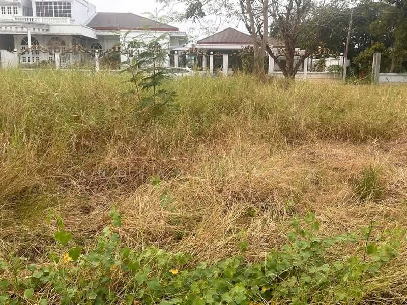 ที่ดินสวยมาก ริม แม่น้ำเจ้าพระยา 1-3-36 ไร่ สามโคก ปทุมธานี, ปทุมธานี, คลองควาย, สามโคก, ปทุมธานี, 2,944 ตร.ม., ที่ดิน ขาย, โดย Angsanaporn D, 500216800 - DDproperty.com