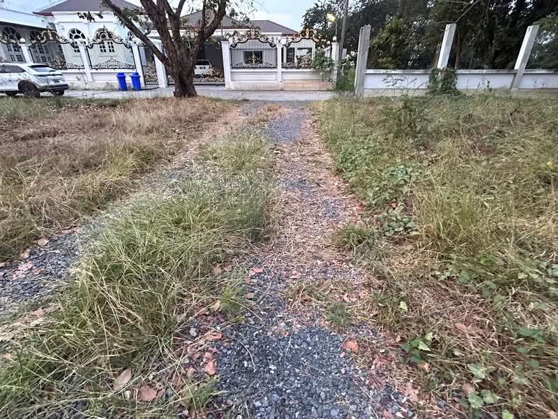 ที่ดินสวยมาก ริม แม่น้ำเจ้าพระยา 1-3-36 ไร่ สามโคก ปทุมธานี, ปทุมธานี, คลองควาย, สามโคก, ปทุมธานี, 2,944 ตร.ม., ที่ดิน ขาย, โดย Angsanaporn D, 500216800 - DDproperty.com