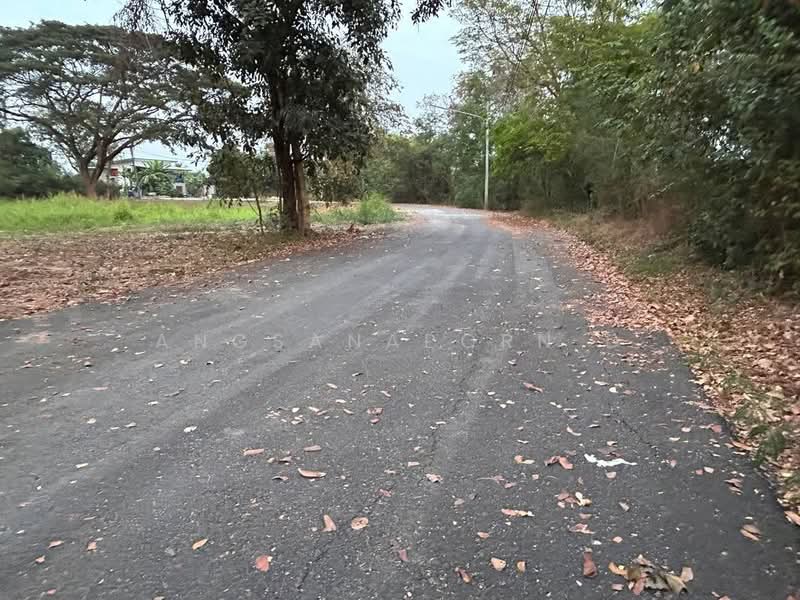 ที่ดินสวยมาก ริม แม่น้ำเจ้าพระยา 1-3-36 ไร่ สามโคก ปทุมธานี, ปทุมธานี, คลองควาย, สามโคก, ปทุมธานี, 2,944 ตร.ม., ที่ดิน ขาย, โดย Angsanaporn D, 500216800 - DDproperty.com