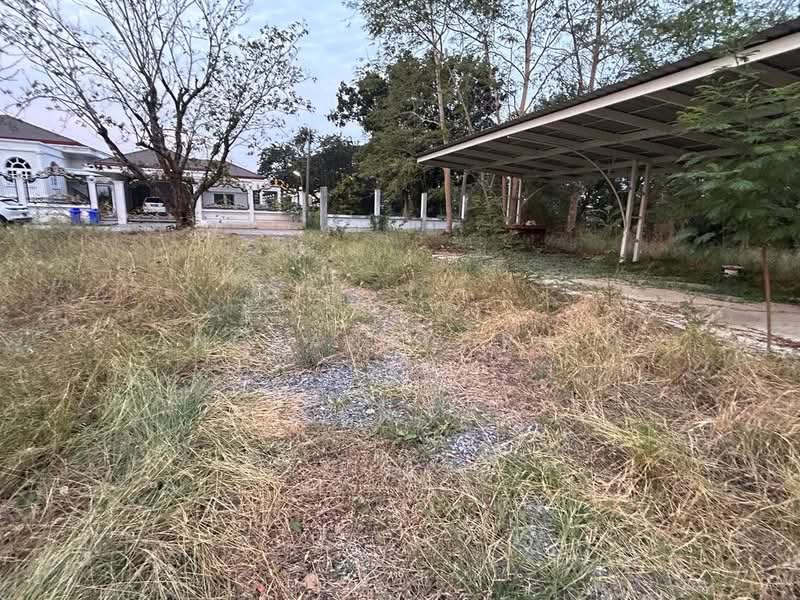 ที่ดินสวยมาก ริม แม่น้ำเจ้าพระยา 1-3-36 ไร่ สามโคก ปทุมธานี, Pathum Thani, Khlong Khwai, Sam Khok, Pathum Thani, , 2,944 sqm, Land For Sale, by Angsanaporn D, 500216800 - DDproperty.com