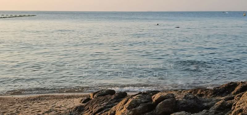 The Sanctuary Wongamat : เดอะ แซงชัวรี วงศ์อมาตย์, ชลบุรี, ซอยพัทยา-นาเกลือ 12, นาเกลือ, บางละมุง, ชลบุรี, 148 ตร.ม., คอนโด ขาย, โดย Pukkawadee Thapmathi, 500216861 - DDproperty.com