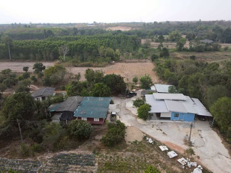 For Sale - พนัสนิคม, Chon Buri (Pattaya)