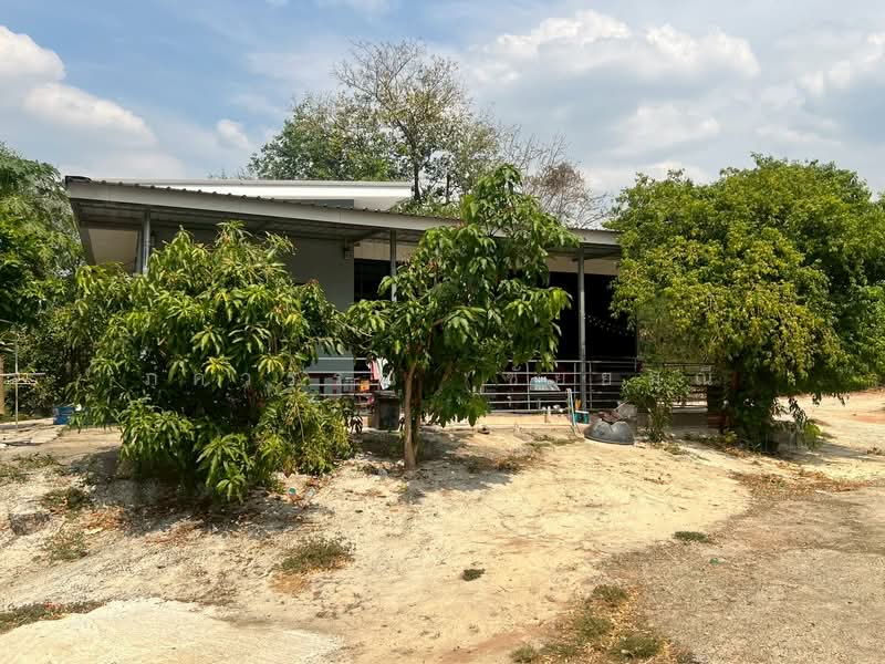 For Sale - พนัสนิคม, Chon Buri (Pattaya)
