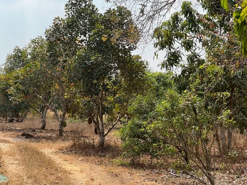 For Sale - พนัสนิคม, Chon Buri (Pattaya)