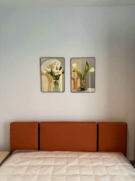 Life Ladprao Valley, Bangkok, Phaholyothin Road, Jom Phon, Chatuchak, Bangkok, Studio, 29 sqm, Condo For Rent, by Bangkok Agent Co.,Ltd., 500216956 - DDproperty.com