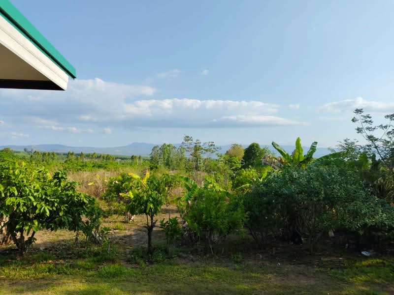 ขาย - บ้านเดี่ยวพร้อมที่ดินนาดี ปราจีนบุรี, ปราจีนบุรี