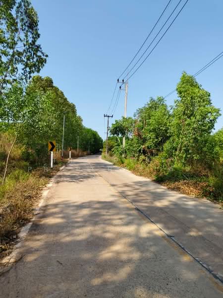 For Sale - บ้านเดี่ยวพร้อมที่ดินนาดี ปราจีนบุรี, Prachin Buri