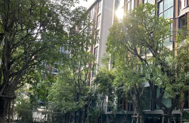 Vtara Sukhumvit 36, Bangkok, 118 Soi Saen Sabai, Phra Kanong, Khlong Toei, Bangkok, 2 Bedrooms, 58 sqm, Condo For Rent, by Patraporn Kansri, 500216973 - DDproperty.com