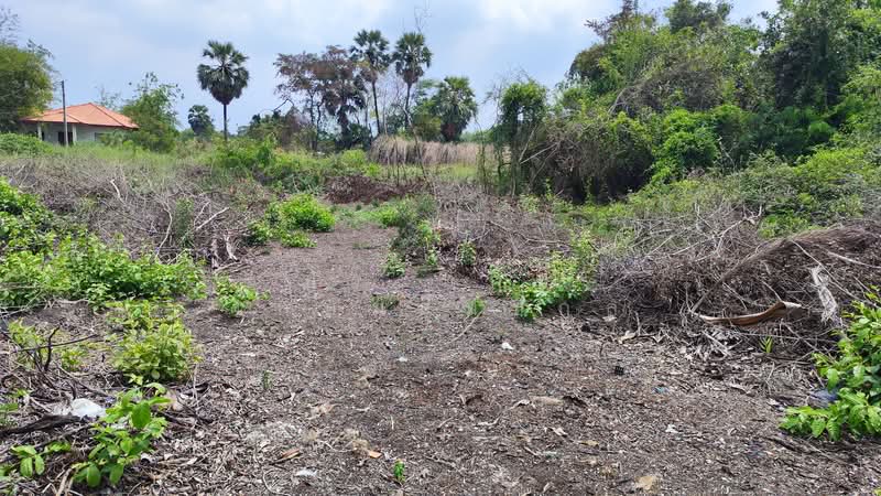 ขาย - ที่ดิน 1-0-85 หลังโลตัส นครชัยศรี, นครปฐม