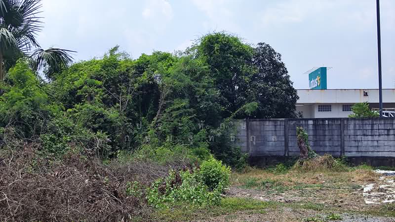 ขาย - ที่ดิน 1-0-85 หลังโลตัส นครชัยศรี, นครปฐม