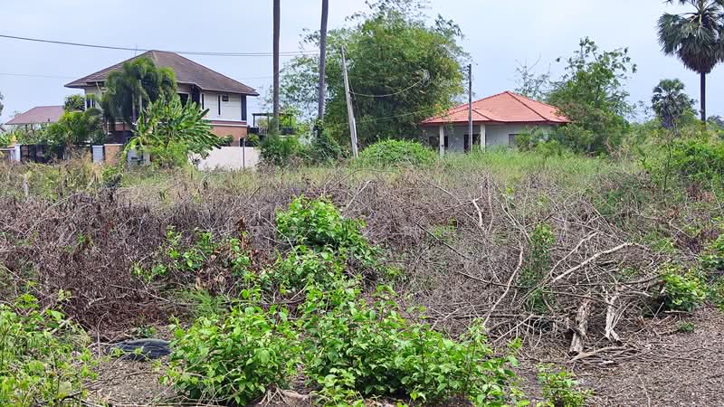 Land behind Lotus's Nakhon Chai Si (1-0-85 Rai), Nakhon Pathom, เพชรเกษม, Tha Tamnak, Nakhon Chai Sri, Nakhon Pathom, , 1,940 sqm, Land For Sale, by ประทักษ์ เกษมสุทธิกุล, 500216980 - DDproperty.com