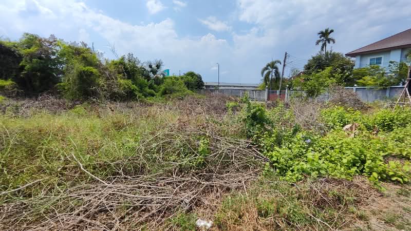 Land behind Lotus's Nakhon Chai Si (1-0-85 Rai), Nakhon Pathom, เพชรเกษม, Tha Tamnak, Nakhon Chai Sri, Nakhon Pathom, , 1,940 sqm, Land For Sale, by ประทักษ์ เกษมสุทธิกุล, 500216980 - DDproperty.com
