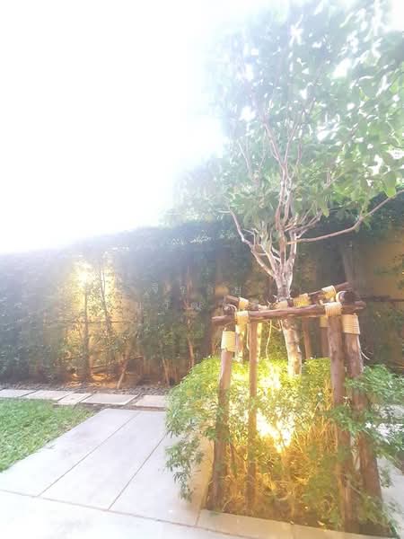 Noble Ambience Sukhumvit 42, Bangkok, 55 Suk Chai Alley, Khong Tan, Khlong Toei, Bangkok, 2 Bedrooms, 51 sqm, Condo For Rent, by Jirayu Chaiyawattanasiri, 500217045 - DDproperty.com