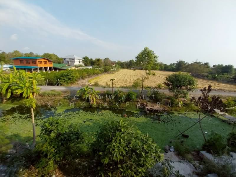 Twin house for sale, Khachinuch Village, Ratchaphruek Road, Lad Lum Kaeo, Pathum Thani., Pathum Thani, ราชพฤกษ์, Khlong Phra Udom, Lat Lum Kaeo, Pathum Thani, 4 Bedrooms, 150 sqm, Semi-Detached House (Twin House) For Sale, by CHAWALIT KONGSAKPAIBUL, 500217223 - DDproperty.com