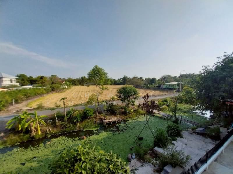 ขาย - ขาย บ้านแฝด หมู่บ้านขจีนุช ถนนราชพฤกษ์ ลาดหลุมแก้ว ปทุมธานี รีโนเวทใหม่ ด้านหลังบ้านติดคลองและทุ่งนา, ปทุมธานี