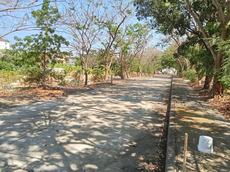 ขาย ที่ดิน ถมแล้ว 250,000/ตร.ว สุขุมวิท 14 ไร่, กรุงเทพ, ประเวศ, ประเวศ, กรุงเทพ, 23,044 ตร.ม., ที่ดิน ขาย, โดย ปภัชญา ธนัตถ์ภรณ์, 500217296 - DDproperty.com