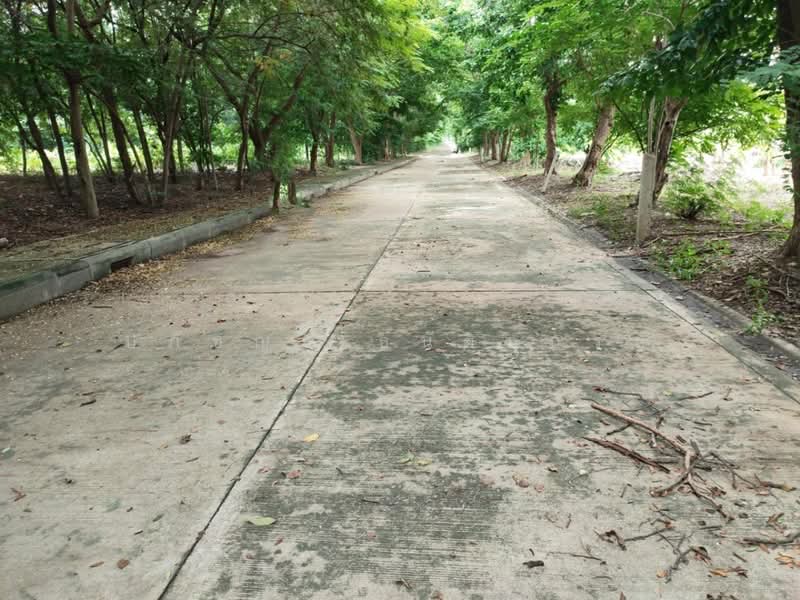 ขาย ที่ดิน ถมแล้ว 250,000/ตร.ว สุขุมวิท 14 ไร่, กรุงเทพ, ประเวศ, ประเวศ, กรุงเทพ, 23,044 ตร.ม., ที่ดิน ขาย, โดย ปภัชญา ธนัตถ์ภรณ์, 500217296 - DDproperty.com