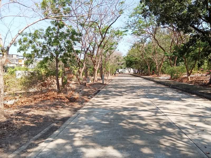 ขาย ที่ดิน ถมแล้ว 250,000/ตร.ว สุขุมวิท 14 ไร่, กรุงเทพ, ประเวศ, ประเวศ, กรุงเทพ, 23,044 ตร.ม., ที่ดิน ขาย, โดย ปภัชญา ธนัตถ์ภรณ์, 500217296 - DDproperty.com