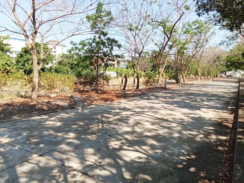 ขาย ที่ดิน ถมแล้ว 250,000/ตร.ว สุขุมวิท 14 ไร่, กรุงเทพ, ประเวศ, ประเวศ, กรุงเทพ, 23,044 ตร.ม., ที่ดิน ขาย, โดย ปภัชญา ธนัตถ์ภรณ์, 500217296 - DDproperty.com