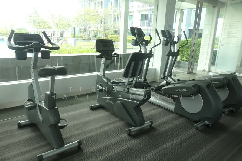 Siri At Sukhumvit, Bangkok, 902 Sukhumvit Road, Phra Kanong, Khlong Toei, Bangkok, 3 Bedrooms, 110 sqm, Condo For Rent, by Thanachot Khantigamongun, 500217326 - DDproperty.com